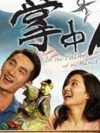 掌中人生劇情介紹(1-20全集)
