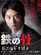 鐵骨劇情介紹(1-5全集)