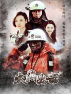 火線出擊（下）劇情介紹(1-21全集)