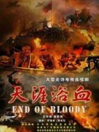 天涯浴血DVD劇情介紹(1-28全集)