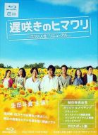 遲開的向日葵劇情介紹(1-10全集)