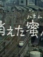 消失的蜜月劇情介紹(1-全集)