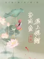 當(dāng)咸魚遇上錦鯉海報(bào)