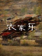 農(nóng)家樂劇情介紹(1-120全集)