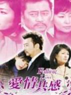 愛(ài)情共感劇情介紹(1-24全集)
