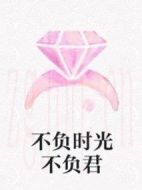 不負時光不負君劇情介紹(1-24全集)