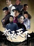 布衣天下海報(bào)
