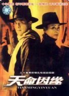 天命因緣劇情介紹(1-28全集)