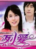 烈愛劇情介紹(1-25全集)