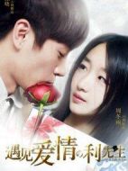 遇見愛情的利先生劇情介紹(1-41全集)
