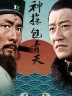 神探包青天劇情介紹(1-41全集)