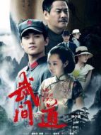 武間道劇情介紹(1-29全集)