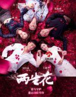 兩生花劇情介紹(1-39全集)