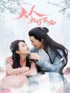夫人，大可不必 越南語版劇情介紹(1-4全集)