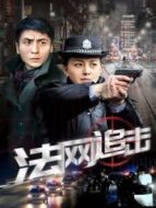法網追擊劇情介紹(1-30全集)