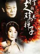 行走的雞毛撣子劇情介紹(1-29全集)