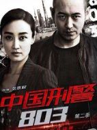 中國刑警803英雄本色劇情介紹(1-45全集)
