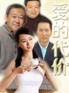 愛的代價劇情介紹(1-20全集)