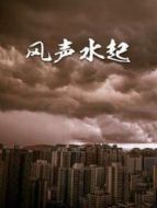 風(fēng)聲水起劇情介紹(1-18全集)