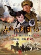 大西北剿匪記劇情介紹(1-46全集)
