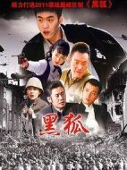 黑狐劇情介紹(1-38全集)