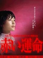 赤色命運(yùn)劇情介紹(1-9全集)