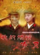 我的燃情歲月劇情介紹(1-21全集)