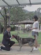 整蠱青年劇情介紹(1-7全集)