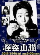 怪盜山貓劇情介紹(1-10全集)