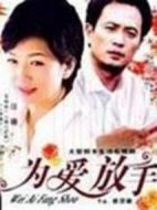 錯(cuò)愛(ài)2劇情介紹(1-26全集)