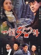 一鎖五十年劇情介紹(1-24全集)