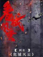 危城風云劇情介紹(1-40全集)