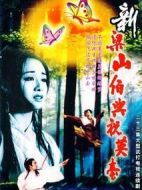 新梁山伯與祝英臺(tái)劇情介紹(1-47全集)
