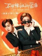 不可思議的愛(ài)情 議諾千金CP版劇情介紹(1-13全集)