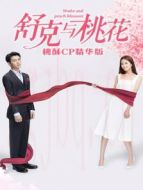 舒克與桃花 桃酥CP精華版劇情介紹(1-20全集)