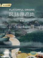 風味原產地貴陽劇情介紹(1-全集)