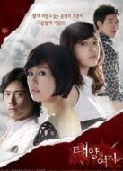 太陽的女人（韓語版）劇情介紹(1-20全集)