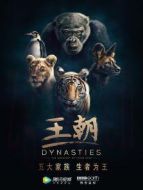 王朝劇情介紹(1-5全集)