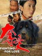 奪愛(ài)劇情介紹(1-32全集)