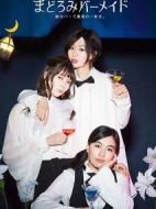 深夜的吧臺公主劇情介紹(1-12全集)