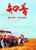 《知青》海報(bào)