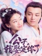 公子，我娶定你了 國際版劇情介紹(1-12全集)
