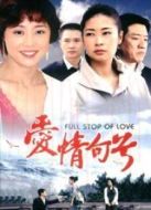 愛情句號劇情介紹(1-23全集)
