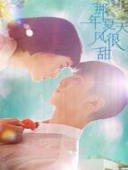 那年夏天風(fēng)很甜海報