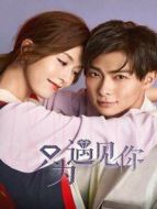只為遇見你 DVD版劇情介紹(1-54全集)
