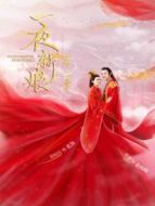 夏夜知君暖 越南語(yǔ)版劇情介紹(1-24全集)