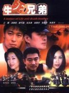 生死兄弟劇情介紹(1-20全集)