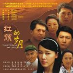 紅顏的歲月劇情介紹(1-26全集)