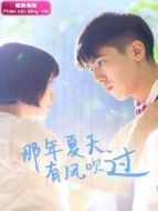 那年夏天有風(fēng)吹過 越南語版劇情介紹(1-27全集)
