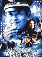 神探谷梁劇情介紹(1-26全集)